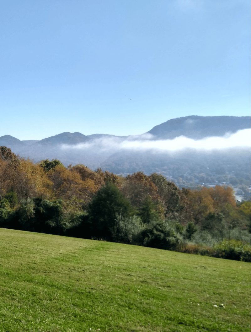 GM View 1